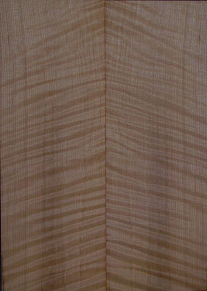 redwood acoustic 11